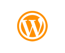 Wordpress, Drupal & Joomla CMS